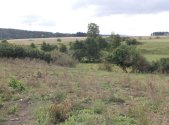 Prodej pozemku, zemědělská půda, 3 504 m²
