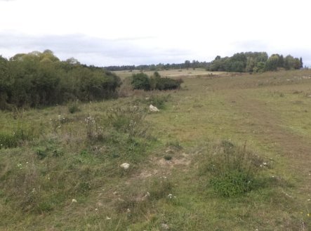 Prodej pozemku, zemědělská půda, 3 504 m²