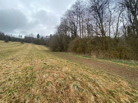 Prodej pozemku, zemědělská půda, 7 826 m²
