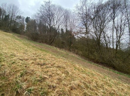 Prodej pozemku, zemědělská půda, 7 826 m²