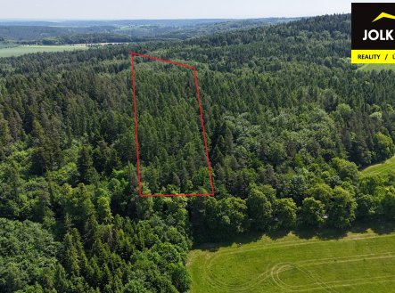 Prodej pozemku, les, 13 182 m²