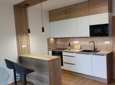Pronájem bytu, 1+kk, 41 m²
