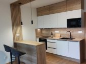 Pronájem bytu, 1+kk, 41 m²
