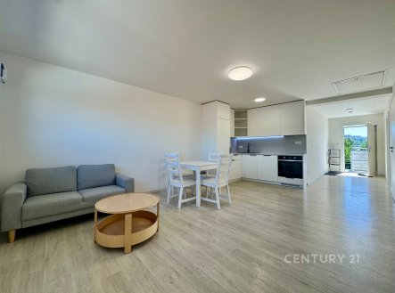 Pronájem bytu, 3+kk, 69 m²