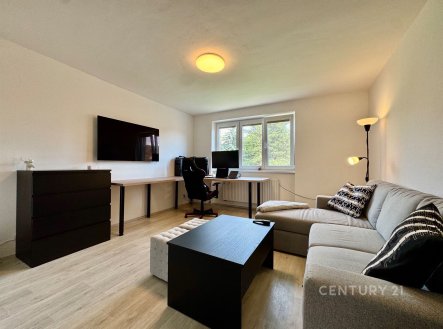 Pronájem bytu, 2+1, 57 m²
