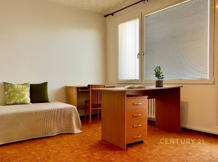 Pronájem bytu, garsoniéra, 67 m² obrázek