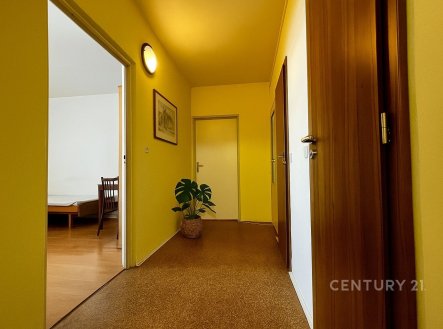 Pronájem bytu, garsoniéra, 67 m²