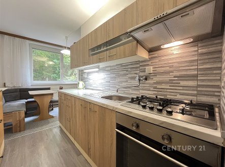 Pronájem bytu, 2+1, 53 m²