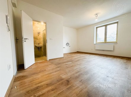 Pronájem bytu, 1+kk, 23 m²