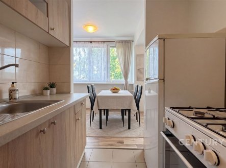 Prodej bytu, 1+1, 39 m²