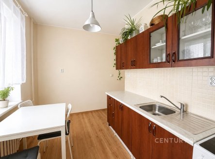 Pronájem bytu, 2+1, 55 m²