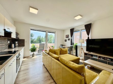 Pronájem bytu, 2+kk, 51 m²