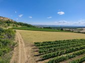 Prodej pozemku, zemědělská půda, 15 817 m²