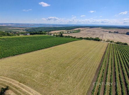 Prodej pozemku, zemědělská půda, 15 817 m²