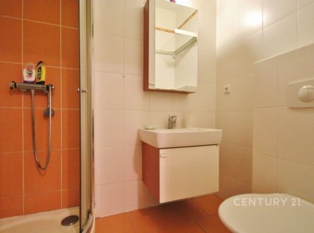 Pronájem bytu, 1+1, 44 m²