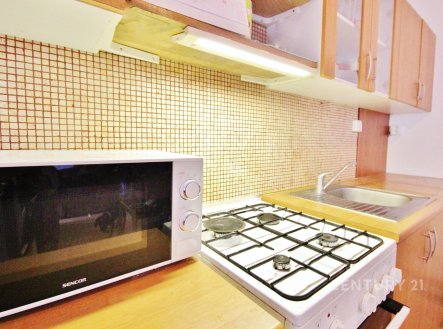 . | Pronájem bytu, 1+1, 44 m²