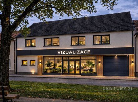 Prodej jiné komerční nemovitosti, 247 m²