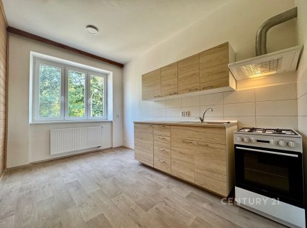 Pronájem bytu, 1+1, 40 m²