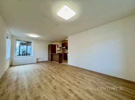 Pronájem bytu, 2+kk, 47 m²
