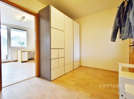 Pronájem bytu, 2+1, 50 m²