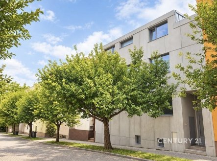 Prodej domu/vily, 313 m²