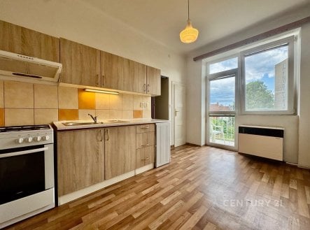 Pronájem bytu, 1+1, 42 m²
