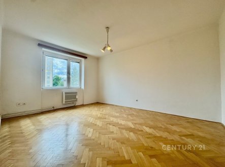 Pronájem bytu, 1+1, 42 m²