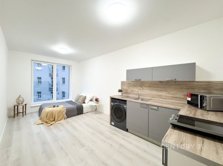 Pronájem bytu, 1+kk, 28 m²
