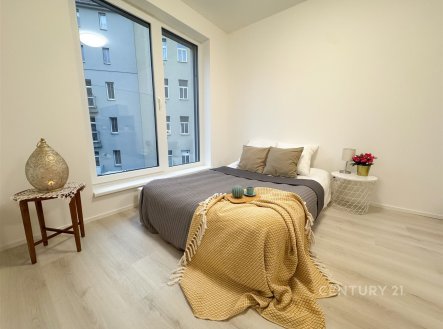 Pronájem bytu, 1+kk, 28 m²