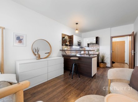 Prodej bytu, 1+kk, 29 m²