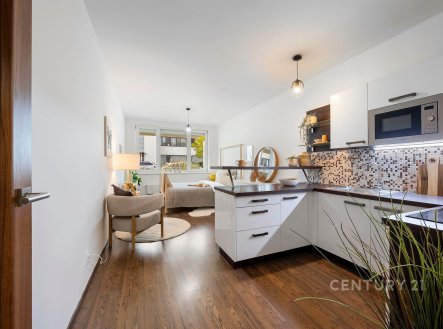 Prodej bytu, 1+kk, 29 m²