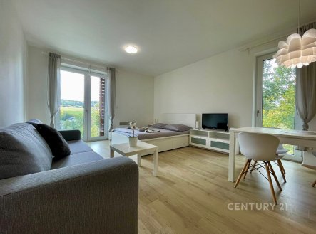 Prodej bytu, 1+kk, 38 m²