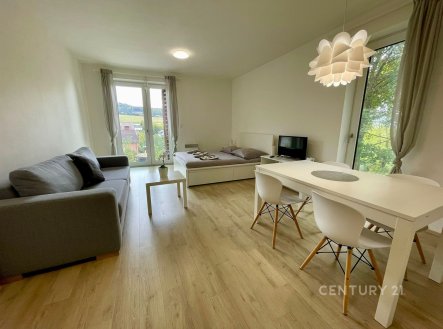 Prodej bytu, 1+kk, 38 m²