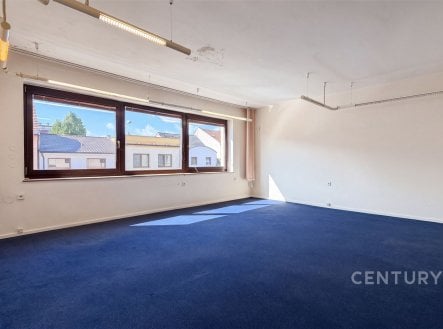 Prodej domu/vily, 336 m²