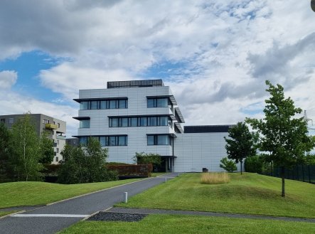Pronájem kanceláře, 349 m²