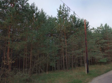 Prodej pozemku, les, 27 344 m²