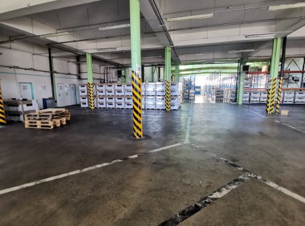 Pronájem výrobní prostory, 6 145 m²