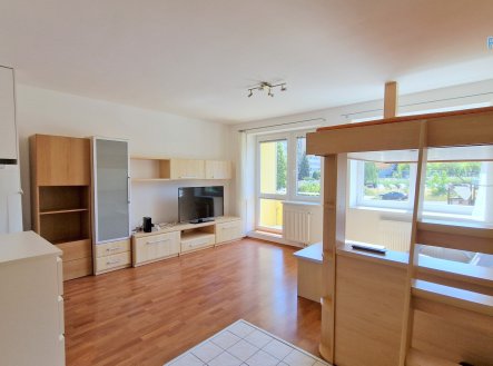 Pronájem bytu, 1+kk, 41 m²