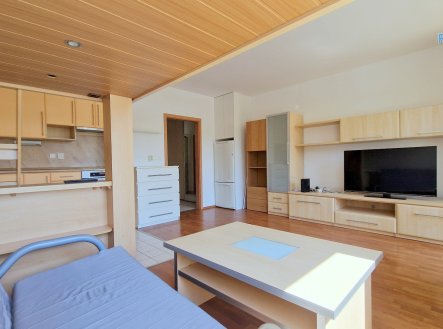 Pronájem bytu, 1+kk, 41 m²