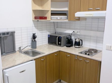 Pronájem bytu, 1+kk, 35 m²