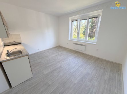 Pronájem bytu, 1+kk, 24 m²