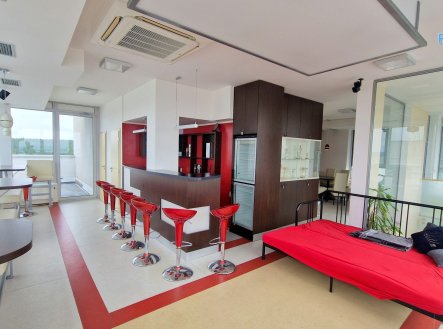 Prodej bytu, 4+kk, 446 m²