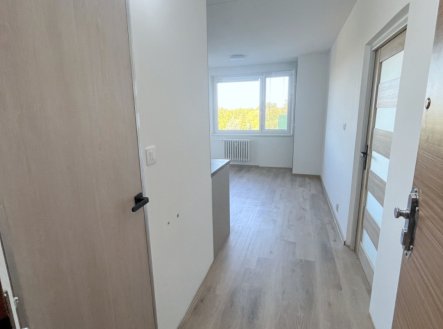 Pronájem bytu, 2+kk, 42 m²