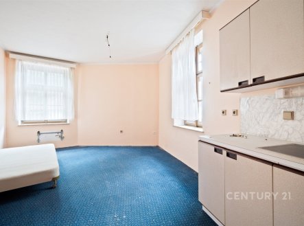 Prodej nájemního domu, 375 m²