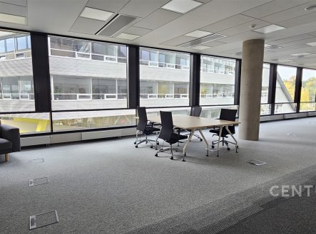 Pronájem kanceláře, 439 m²
