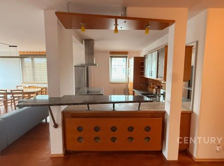 Pronájem bytu, 3+kk, 129 m²