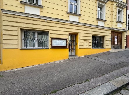 Pronájem bytu, atypický, 76 m²