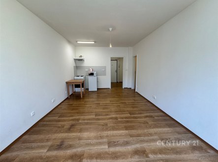 Prodej bytu, 1+kk, 30 m²