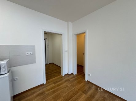 Prodej bytu, 1+kk, 30 m²