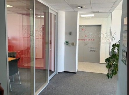 Pronájem kanceláře, 500 m²
